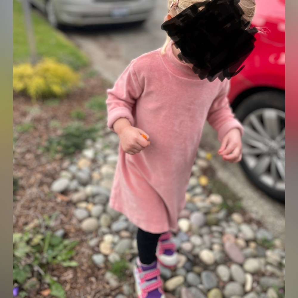 Monica and Andy girls 3T pink velour tunic dress